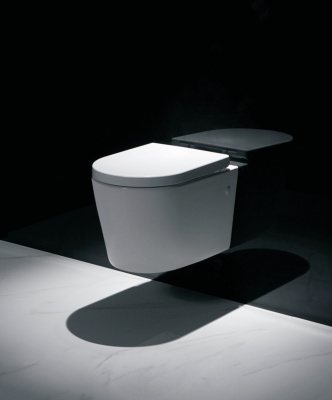 Abisko Wall Hung Rimless Round Toilet And Soft Close Seat